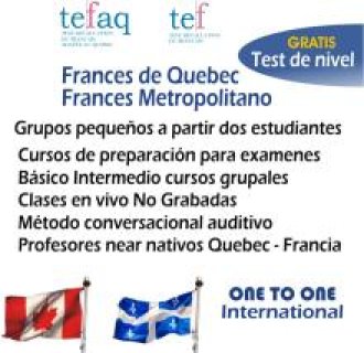 APRENDER FRANCÉS CON MINIGRUPOS